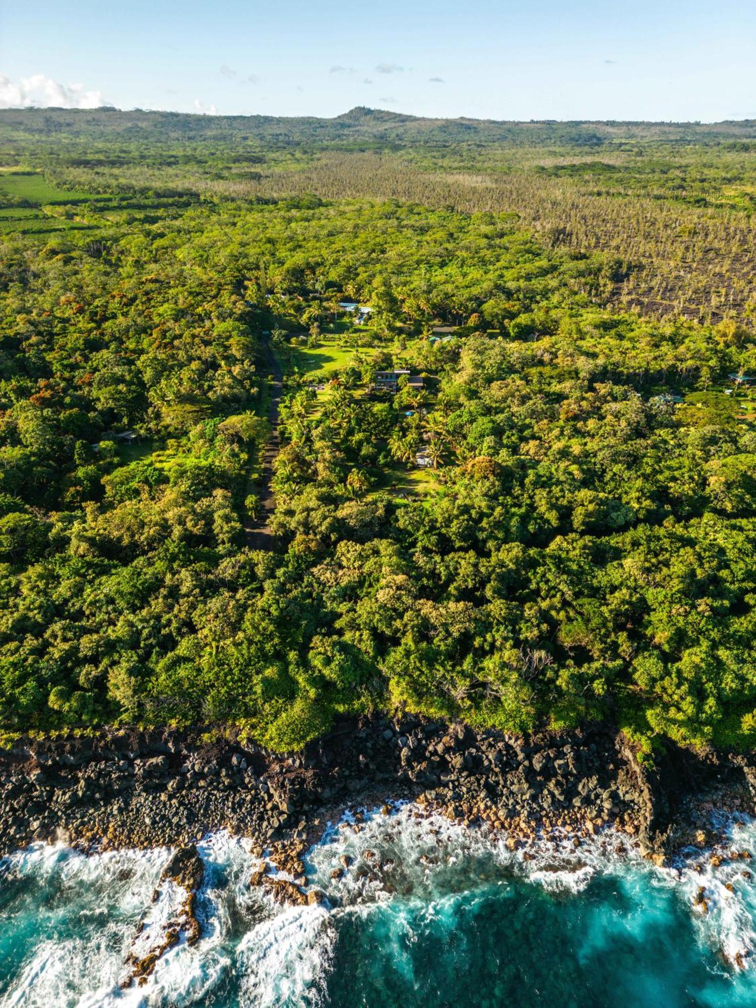 Jungle Haven Ocean Front Eco Villa On Fruit Farm Pahoa Exterior foto